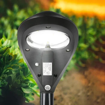 

Solar Bollard Light Led Solar Stick Lights 2pcs LED Solar Lawn Light Light Control Spike Spotlight Waterproof Wireless Lamp