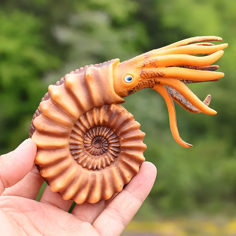 Стиль океанов животных модель игрушки Nautilus кальмар Твердые Модели океанов павильон украшения развивающие игрушки