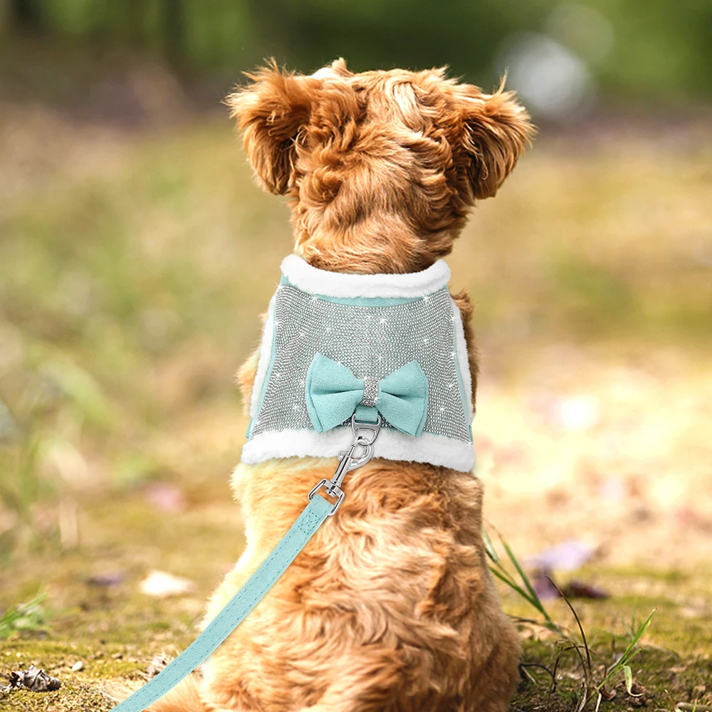 quente pet arnês colete, bowknot chumbo para chihuahua cães e gatos