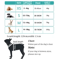 Reflective Mesh Harness & Leash Set