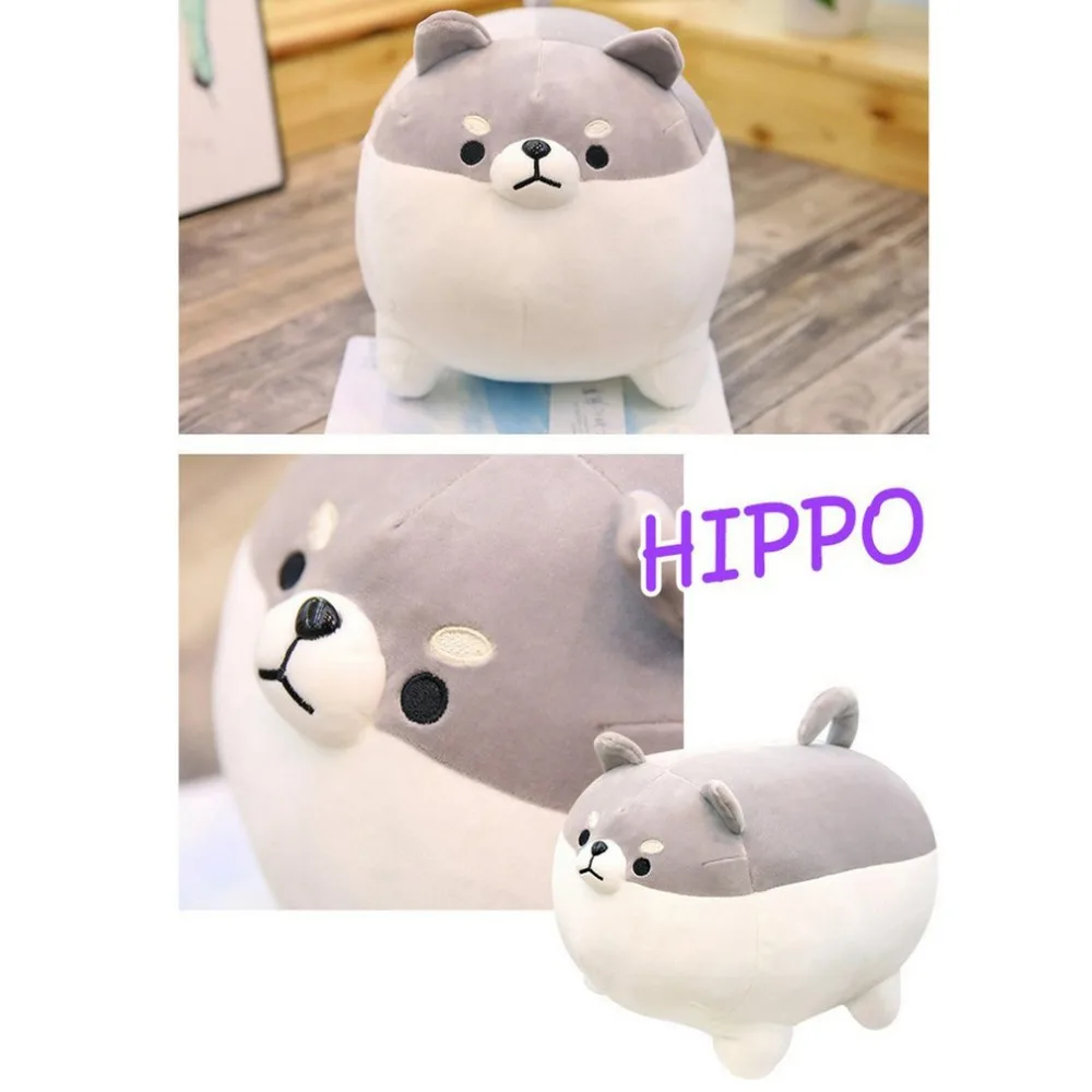 PF184603-C-20062804-1