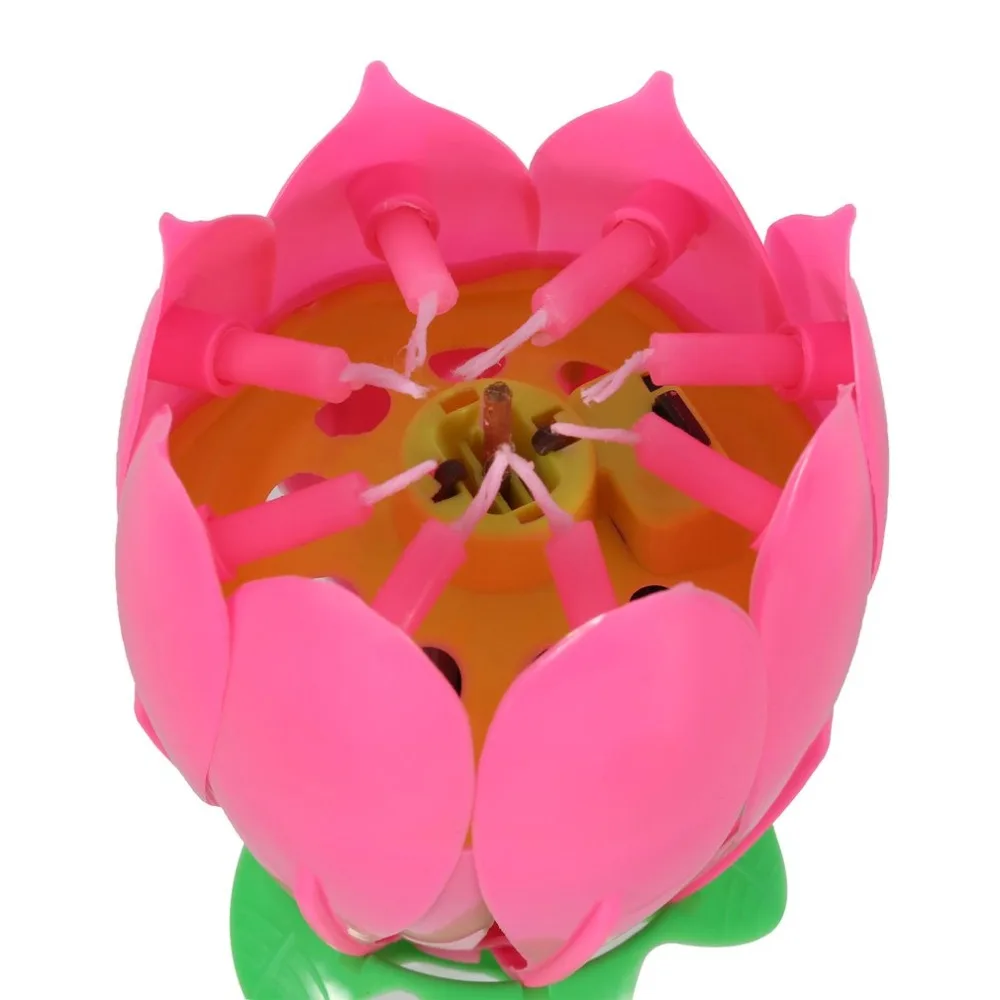 ZM1273100-C-20190533-1