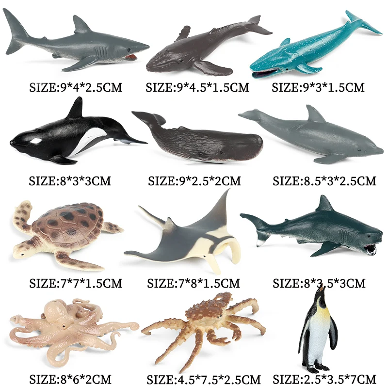 Carta Regalo Oceano Per Bambini - 6 Fogli Con Animali Marini, Riciclabile - Foto 5