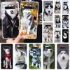 Mobile Phone Accessories