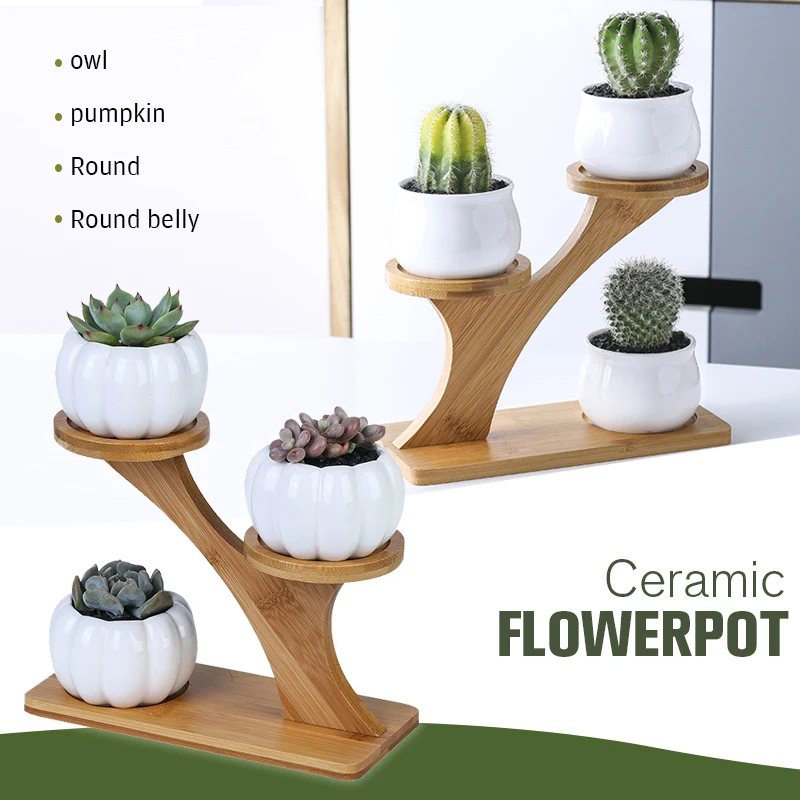 Plant Shelves Flower Display Stand Creative Succulent Plant Owl Pumpkin Bamboo Frame Ceramic Flowerpot Tray