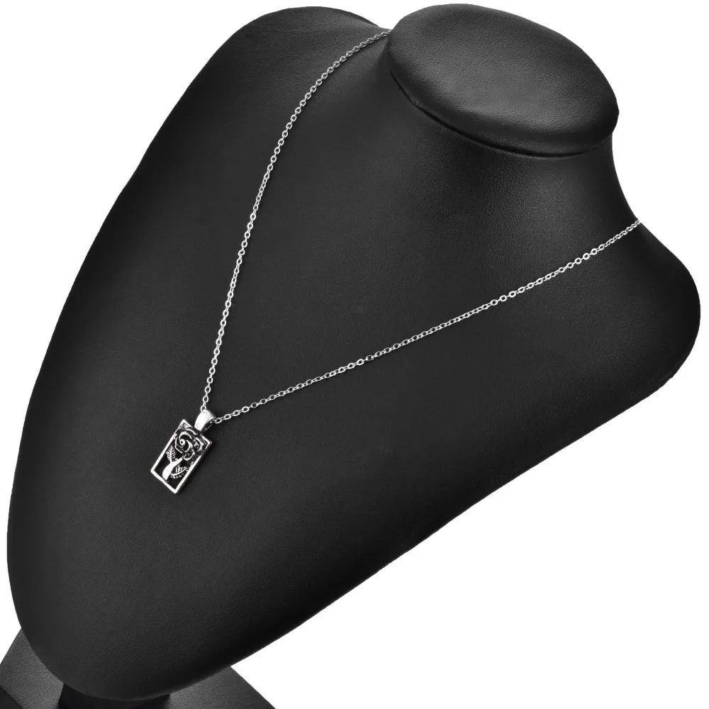 6873124581_532200316