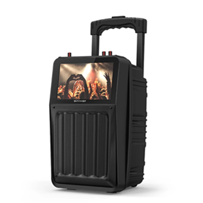 BlitzWolf BW-DM1 30W TFT Screen Wireless Party