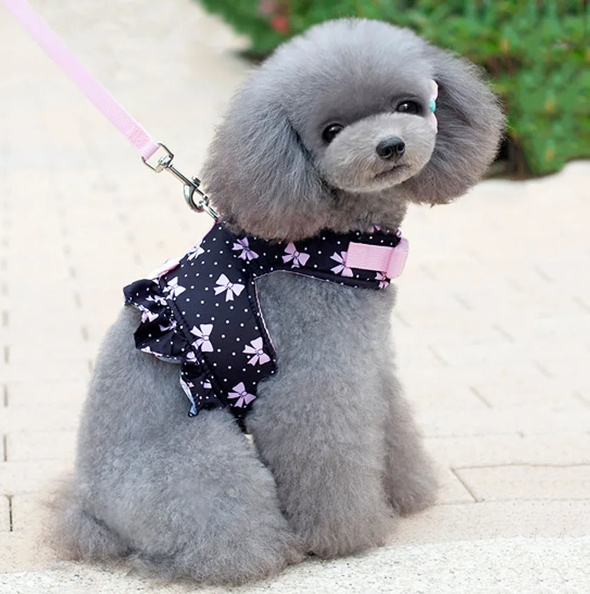 

@HE Fashion Soft And Comfortable Cowboy Control Harness Chest Strap Vest Clothes Leash Set Pet Small Dog Supplies