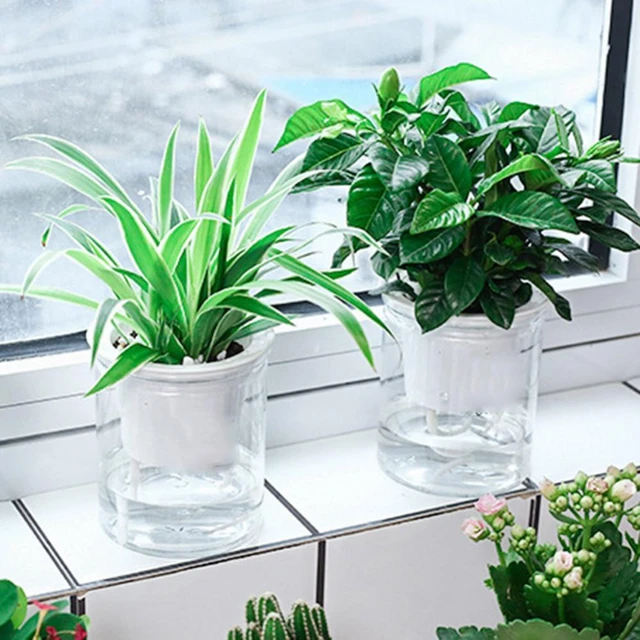 Pot de fleurs à arrosage automatique, plantes hydroponiques transparentes  avec réservoir d'eau, décoration de jardin