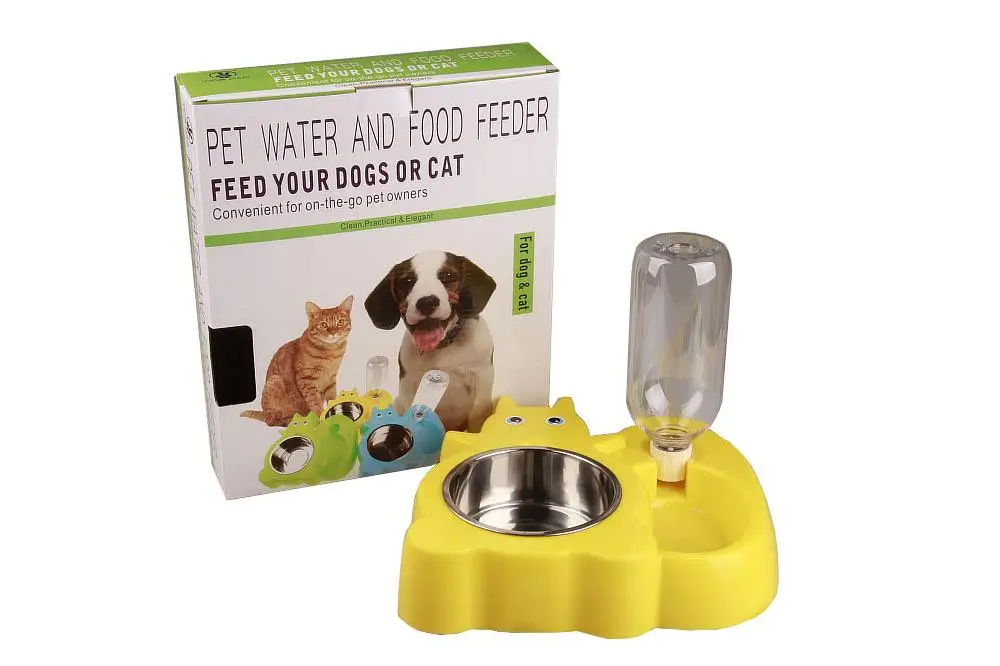 Squirrel frog cartoon dog drinking bowl (25)