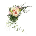 Image 14