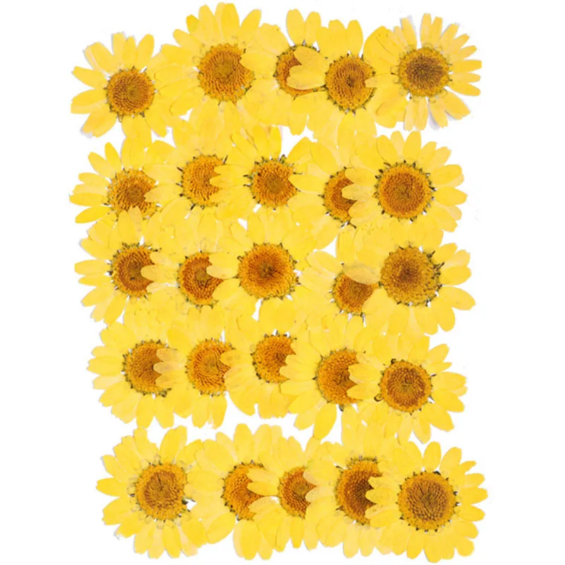Yellow chrysanthemum Высокое качество Популярные Лидер продаж мини Bloemen засушенные цветы небольшой "сделай сам" сохранить букет 25 шт./пакет прессованные цветы украшения дома - Цвет: Yellow chrysanthemum