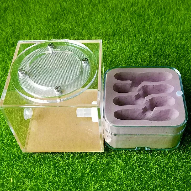 Plaster Ant Nest Acrylic Ant Farm Ants Queen House Insect Cage Anthills Pet Ant House Granja De Hormigas Hormiguero (4)