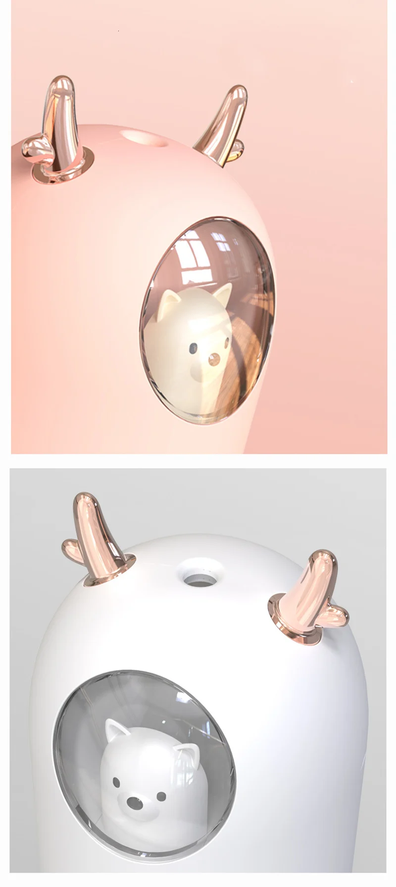 11683898673_2039891578 (1)