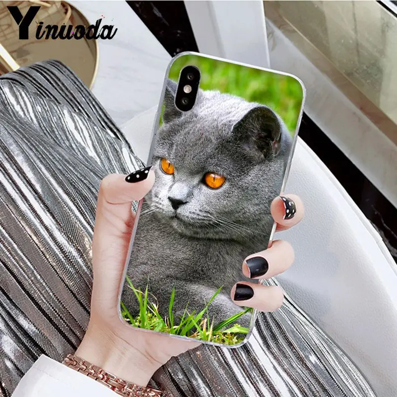 Yinuoda British Shorthair cat Novelty Fundas Phone Case Cover for Apple iPhone 8 7 6 6S Plus X XS MAX 5 5S SE XR Cover - Цвет: A7