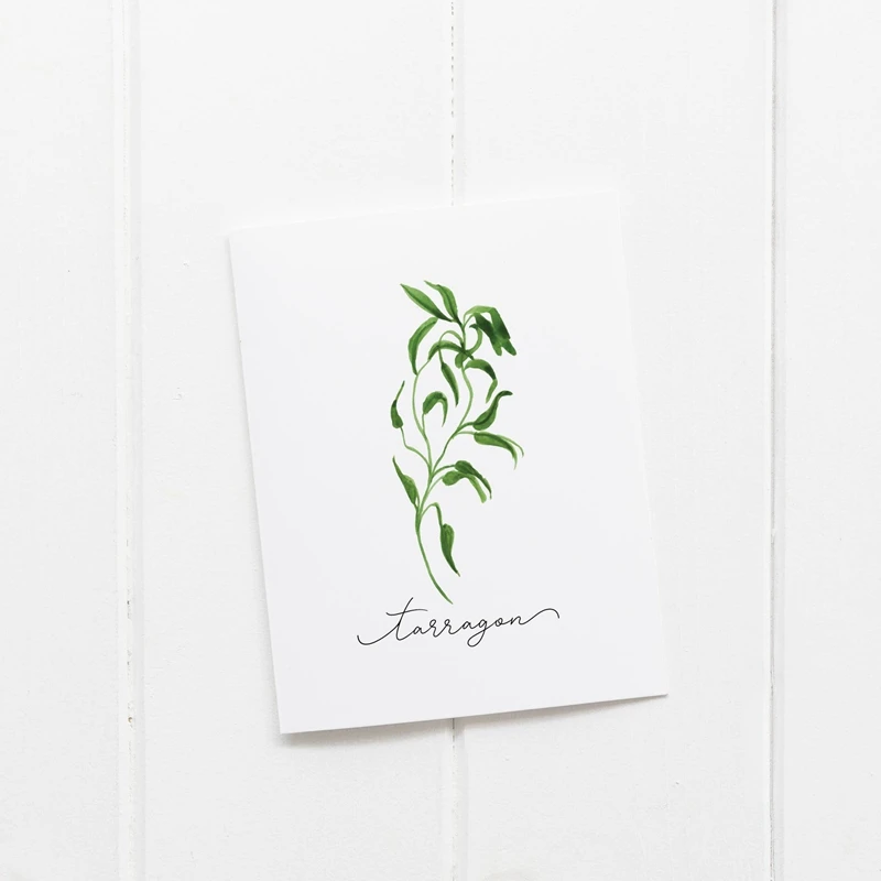 Травяная коллекция настенные художественные плакаты на холсте картина орегано