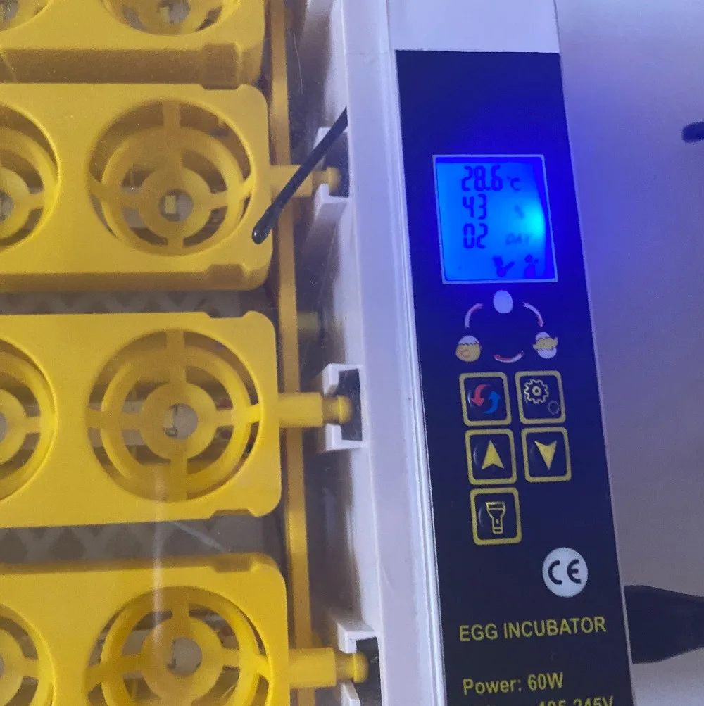 QQ图片20200716173652