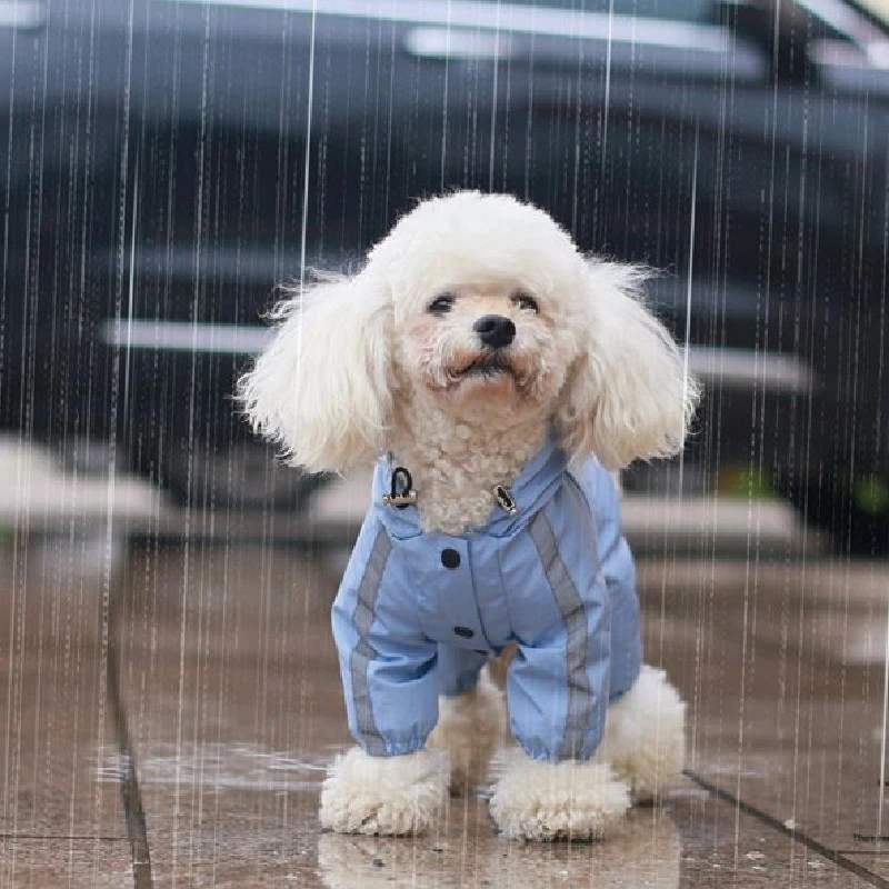 Small Dog Raincoat Reflective Dog Raincoat Waterproof Jumpsuit Puppy Rain Jacket For A Dog Pomeranian Schnauzer Poodle Clothing