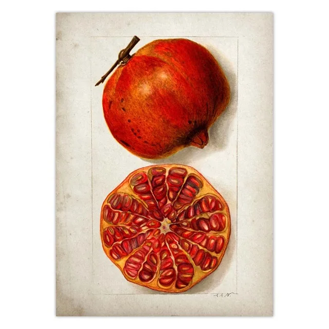 Fruit-Kitchen-Poster-Vintage-Poster-Antique-Print-Pear-Apple-Orange-Pineapple-Wall-Art-Decorative-Picture-Painting.jpg_.webp_640x640 (18)