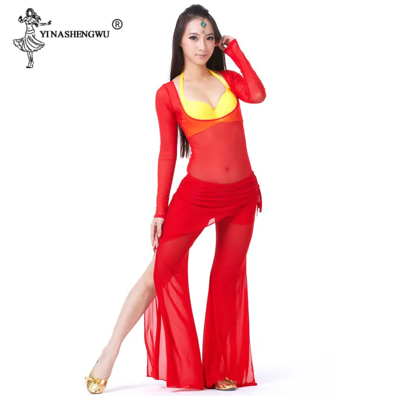 Women Sexy Belly Dance Costume Long Sleeve Mesh Suit Belly Dance Sets Autumn Winter Dance Long Pants Split Perspective 10 Colors