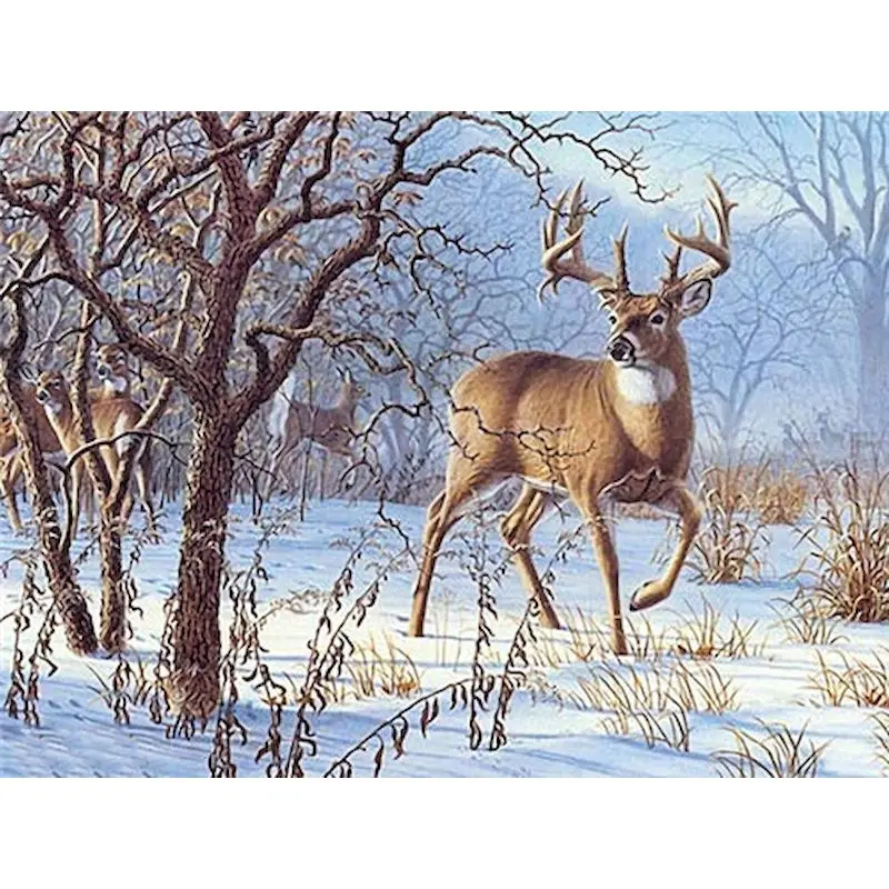 

GATYZTORY Frame Deer DIY Painting By Numbers Animals Handpainted Oil Painting Canvas Colouring Wall Decor