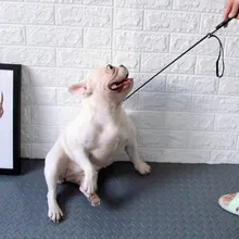 Тренировочная плеть для собак, тренировочная клюшка для домашних животных, популярное устройство для дрессировки собак, ручка для управления ведением домашних животных для крупных собак, игрушка H1