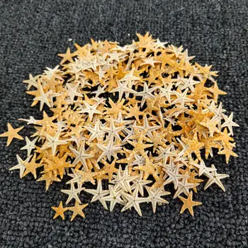 

300pcs,Natural Dried Flat Starfish,Beach Wedding Party home decoration accessorie,micro landscape modeling,Easter gift box decor