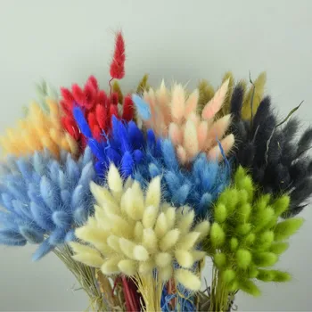 

50pcs Colorful Foxtail Barley Grass Bonsai Home Decoration Natural Dried Twelve Flower Dried Flower Photo Props Dog Tail Grass