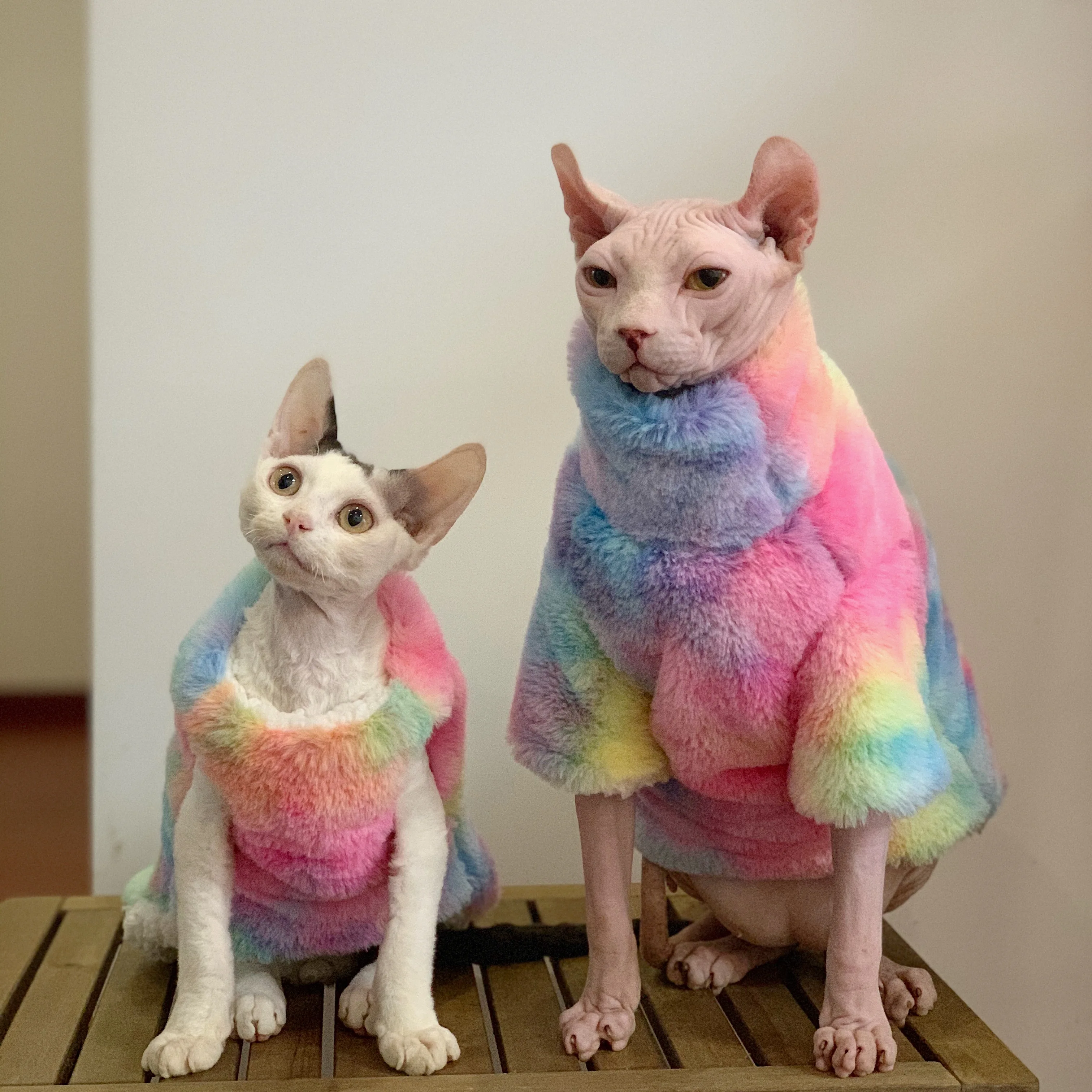 Sphinx Devonショートフィートヘアレスキャット服ファッション冬の厚みのある暖かい毛皮の虹の厚いコートぬいぐるみ 猫の服 Aliexpress Sphinx Devonショートフィートヘアレスキャット服ファッション冬の厚みのある暖かい毛皮の虹の厚いコートぬいぐるみ 猫の服 Aliexpress