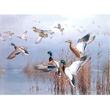 

New 5d Rhinestones Diy Diamond Painting Cross Stitch Square Resin Full Mosaic Diamond Embroidery Bird Duck Animal Free Shipping