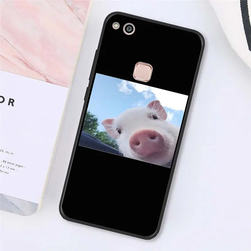 Cute Little Pink Pet Pig