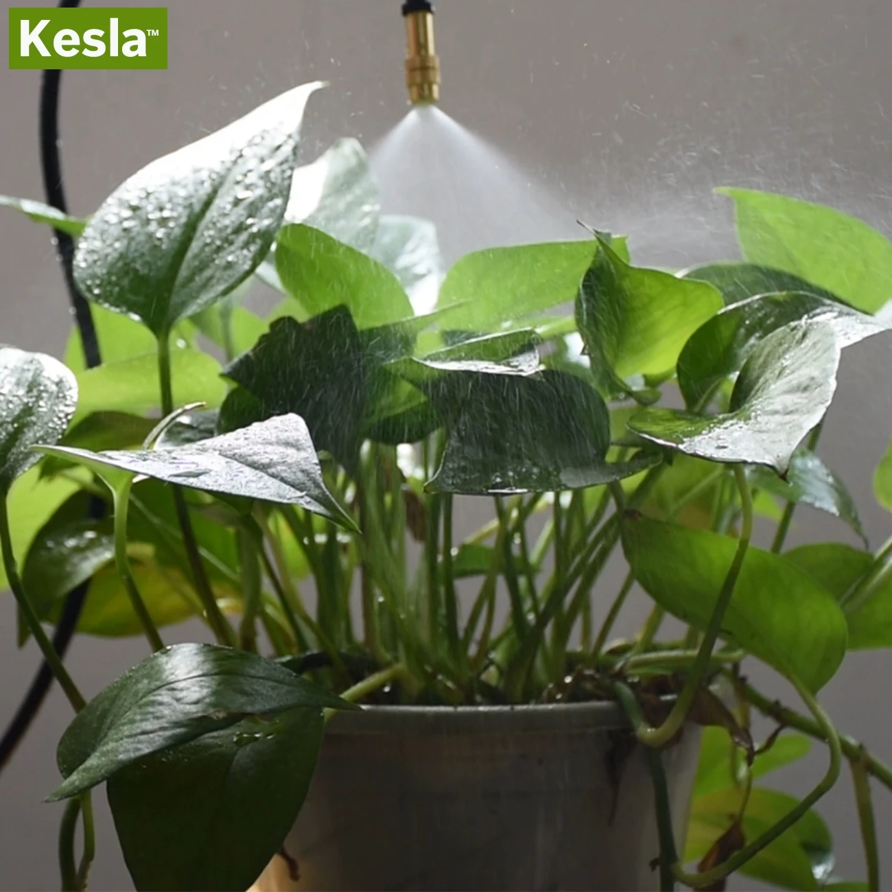 KESLA 30M DIY Automatic Garden Watering Kits Water Controller Timer Micro Drip Misting Irrigation Lawn Greenhose Dripper Plant