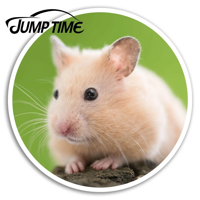 Jump Time Cute Hamster Vinyl Stickers Pet Mice Fun Sticker Laptop Luggage Car Assessoires Window Decals Wrap DIY | Автомобили и
