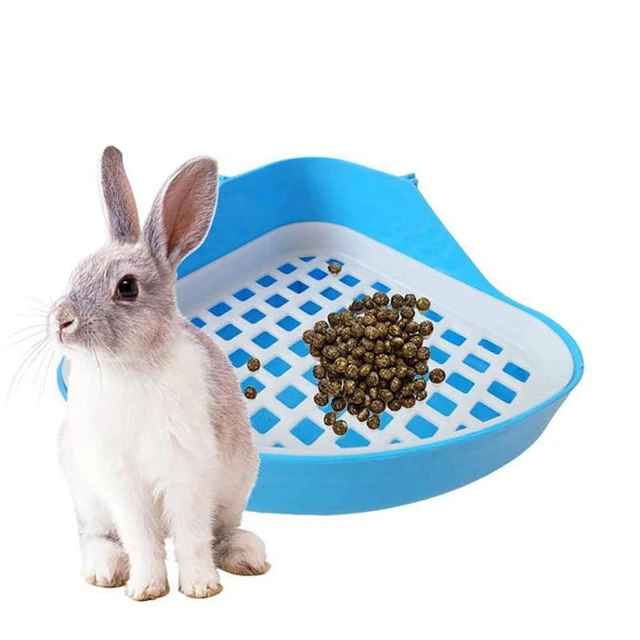 Bandeja de arena para conejo y hámster, esquinero orinal para animales  pequeños, azul - AliExpress