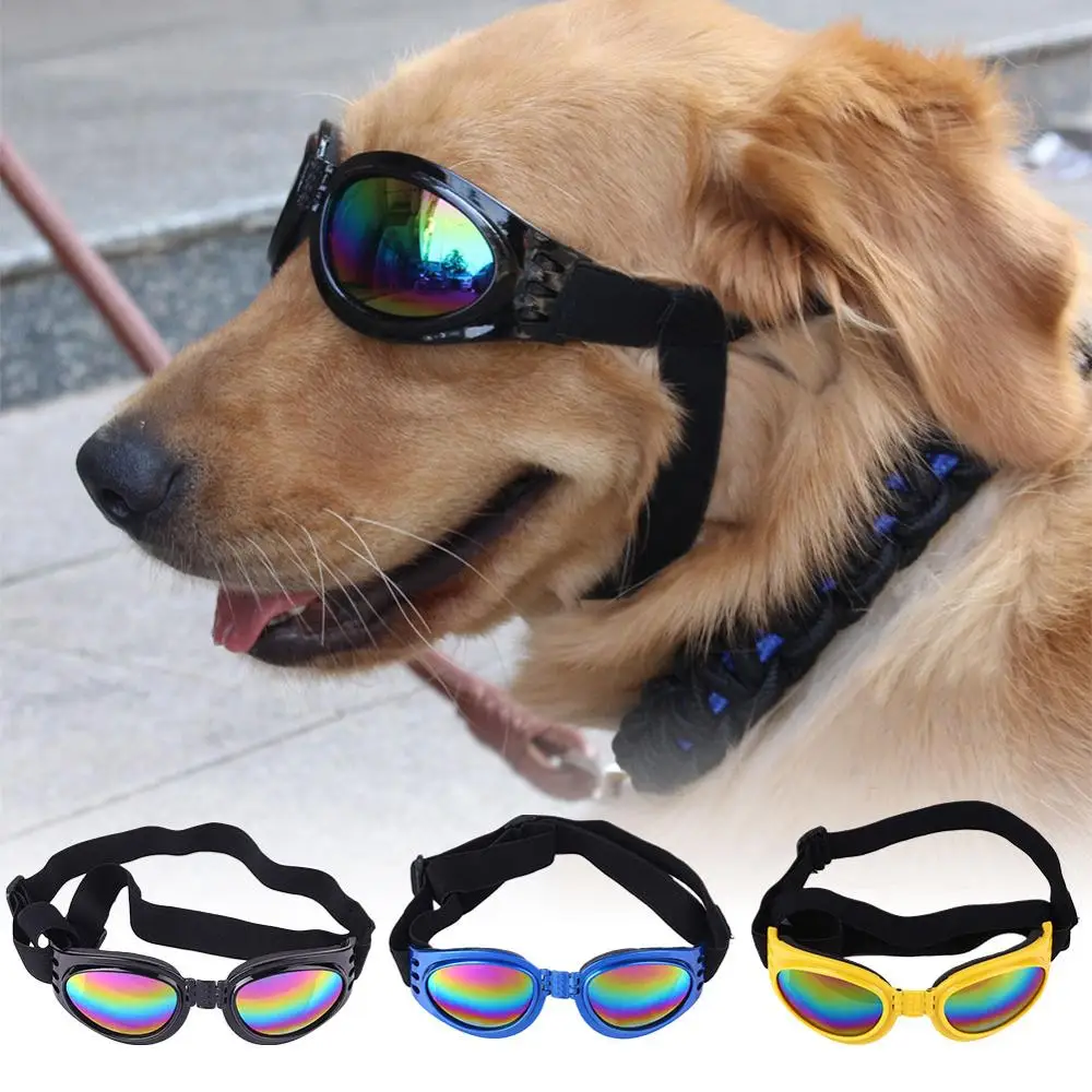 5 Colors foldable font b Pet b font Dog glasses medium Large Dog font b pet
