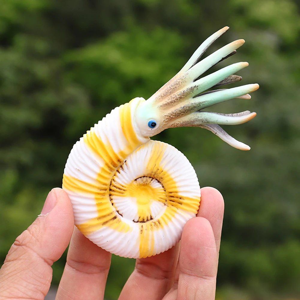 2 шт. моделирование Nautilus ракушка океан фигурки животных детские развивающие игрушки подарок стимулирование развития воображения творчества