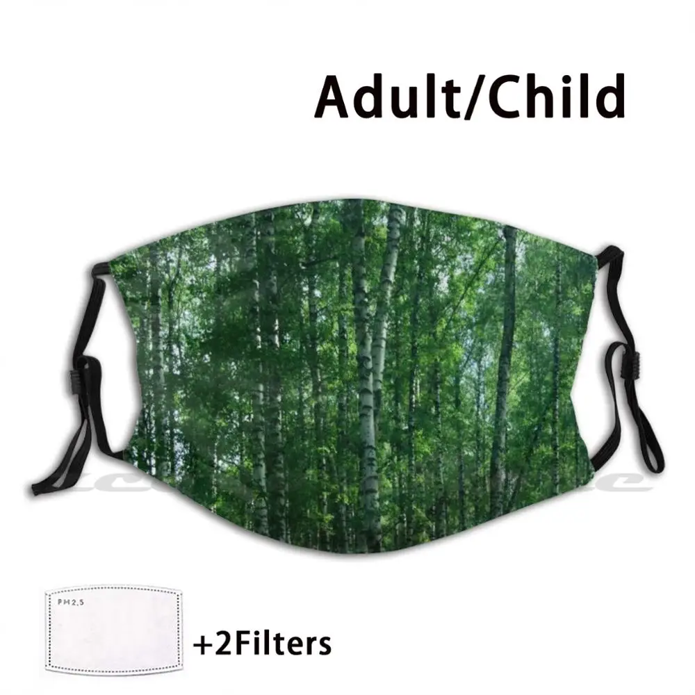 

The Birch Forest Mask Cloth Washable DIY Filter Pm2.5 Adult Kids Birch Birch Tree Birch Forest Forest Tree Trees Nature Wild