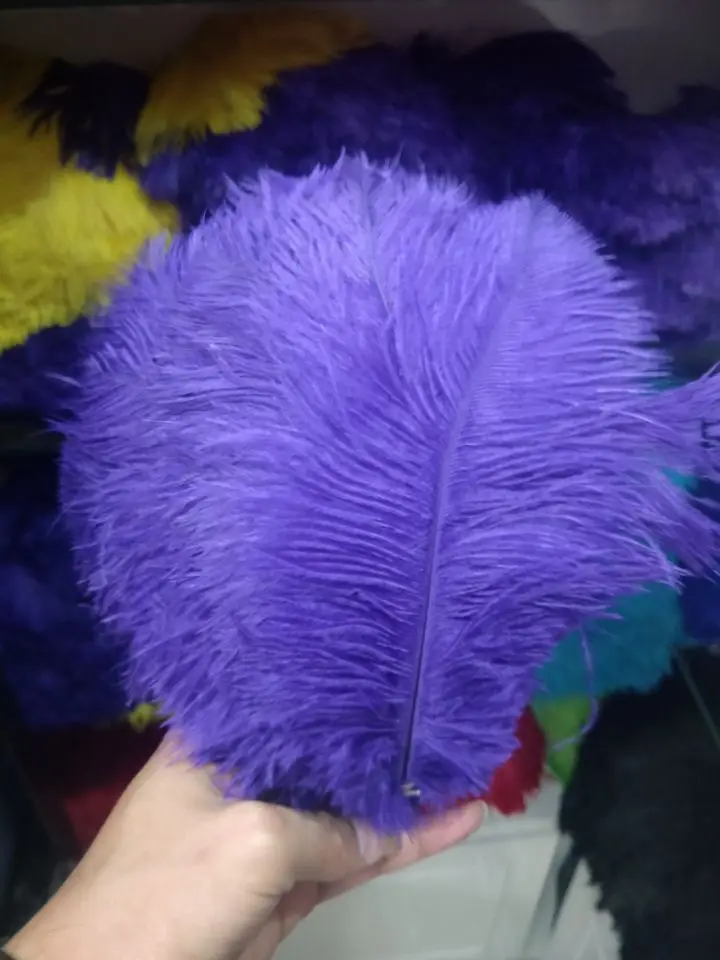 Wholesale pretty 100 pcs ostrich feathers high quality 18-20inches /45-50cm DIY jewelry decoration / wedding celebration