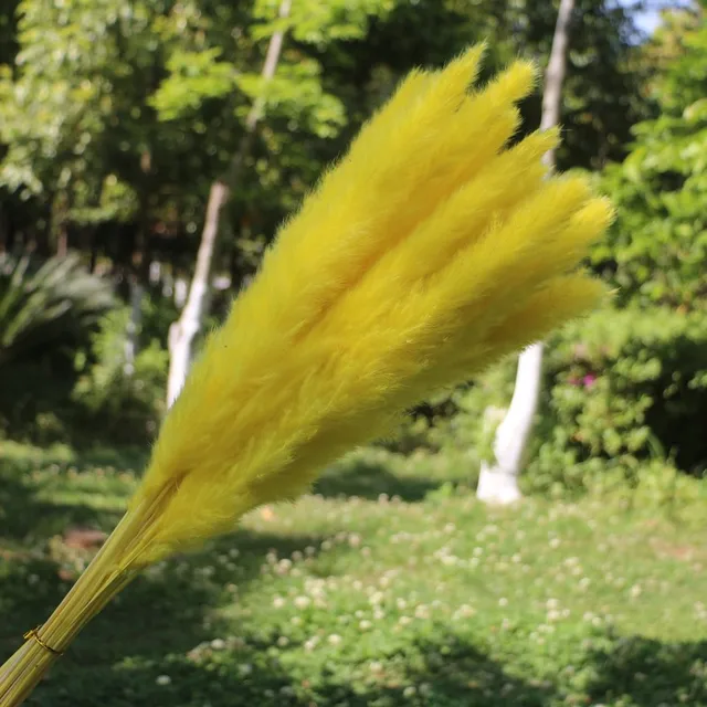 Dekoration 15Pcs Free Shipping Dried Pampas Grass Decor Wedding Flower Bunch Natural Plants for Home Christmas Decorations yellow