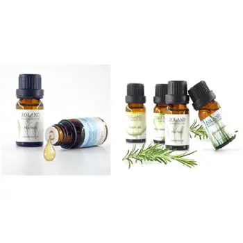 

Creative Nordic Style Diatomite Cute Cactus Shaped Cabinet Bathroom Desk Deodorant Decoration Home Moisture Absorption Ornament