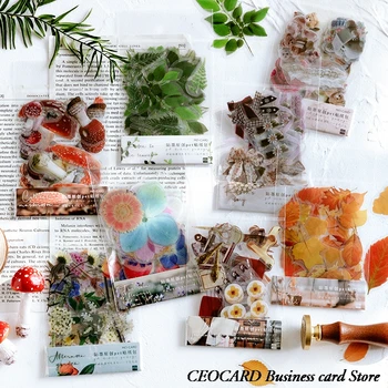 

PDA Sticker Package Jenny's Man Time Plant Bow Hand Account Study Series with Mushroom Ginkgo Tree