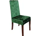 Velvet Color 5