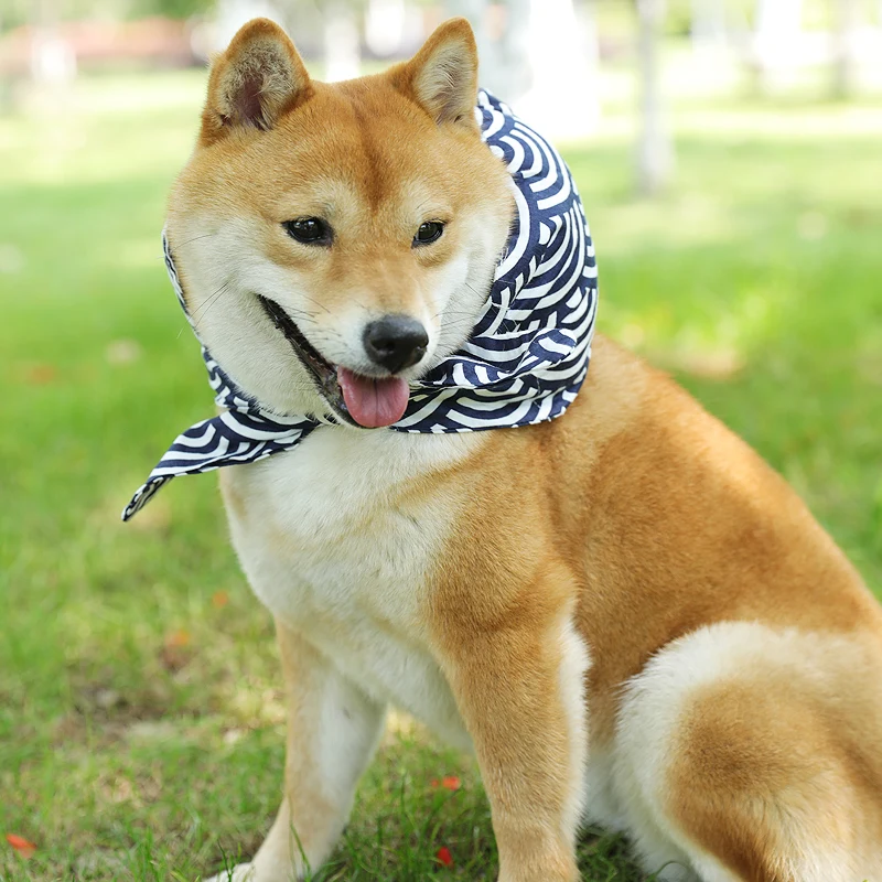 FATHIN Fanny Dog ошейник сбежавшая из дома кошка собака бандана для всех домашних животных Tiktok фото реквизит - Цвет: Type 4