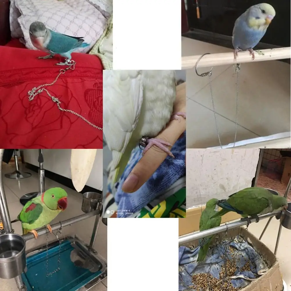 Попугай ножной браслет, птица из нержавеющей стали, цепь, тигр, кожа, Старлинг, пион, Каратель, подставка, открытый фут, кольцо, тренировочные принадлежности