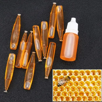 

2018 Honey Bee Swarm Attractant Lures Beekeeping hive 10 tubes + EXTRAS Tools T