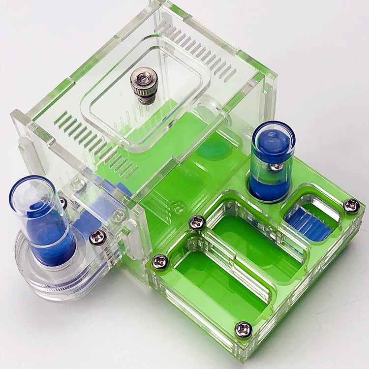 Vendedor Caliente Mini granja de hormigas acrílicas para escalada, nido de hormigas para Taller, rayas horizontales, para caza JlwjeEWGKbD