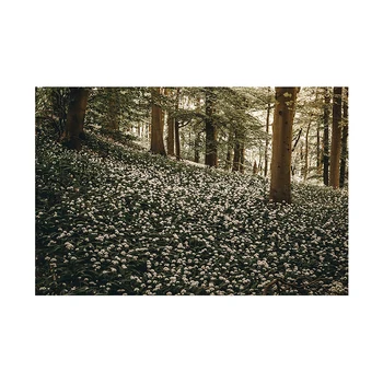

5ft/7ft Forest Background Photography Paper Spring Photo Booth Background Studio Party Backdrop Vinyl Cloth Vintage Photography