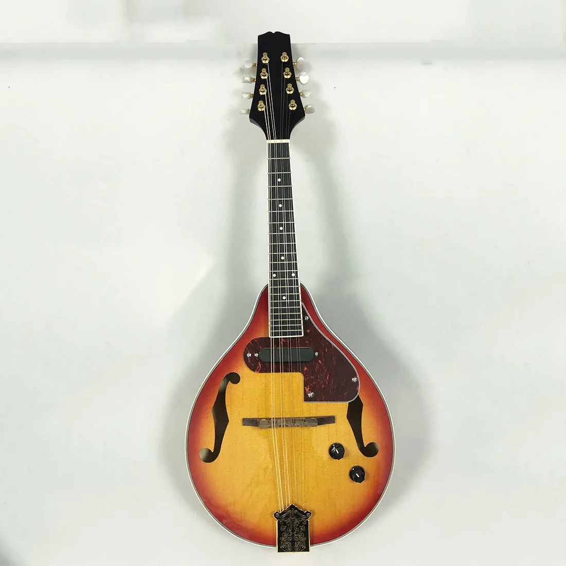 Electro Acoustic Mandolin Mandolin Tibetan Instrument Western Musical