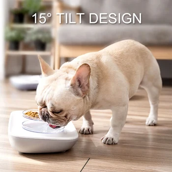 

Cat Food Bowl 15 Degree Tilt Base Design - Stress Free Pet Feeder and Waterer with Premium Anti-overflow Pet Bowl