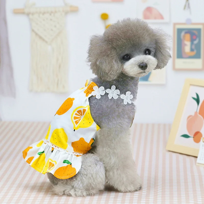 Dog Dress Skirt Summer Print Vest Pet Clothes for Small Dogs Yorkies Chihuahua Princess Dresses Puppy Clothing T-shirt